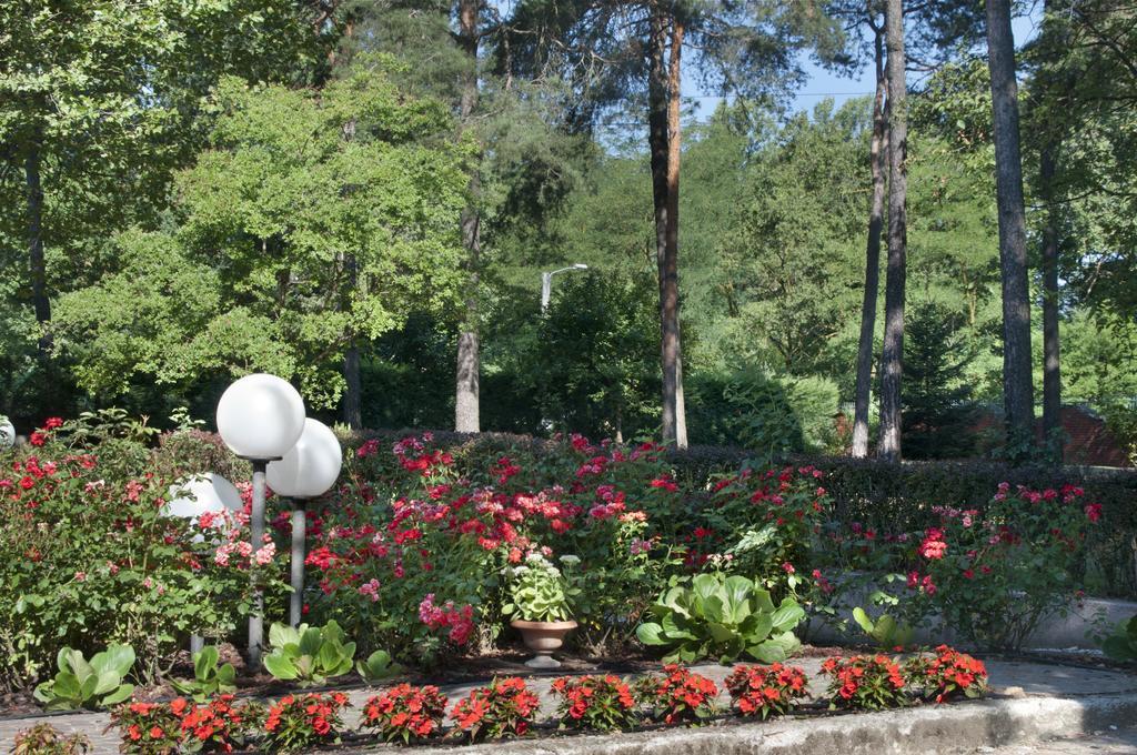 Bed and Breakfast Bed&Garden Чезате Экстерьер фото
